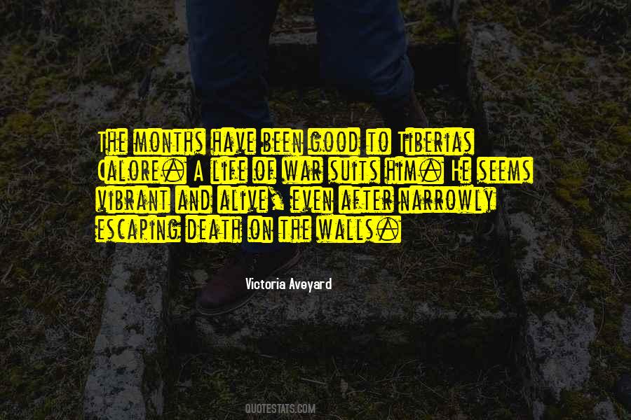 Aveyard Quotes #265289