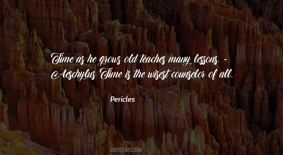 Time Is The Best Teacher Quotes #47219