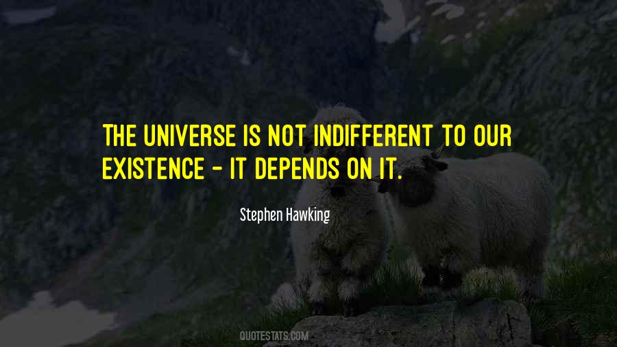 Indifferent Universe Quotes #1300130
