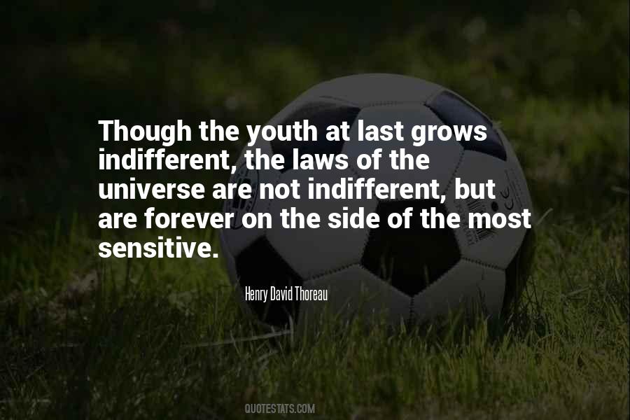Indifferent Universe Quotes #387161