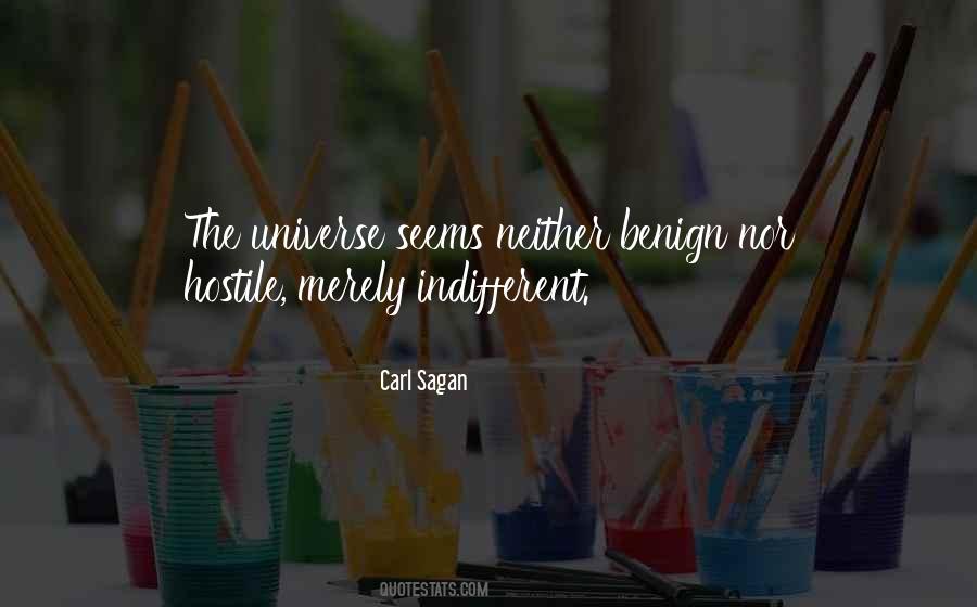 Indifferent Universe Quotes #410985