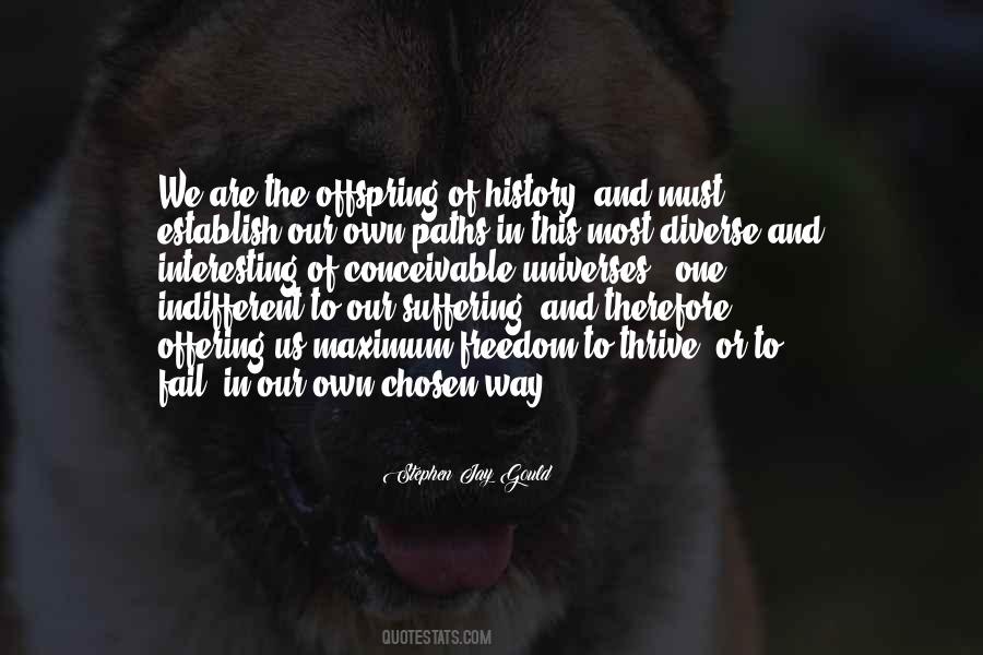 Indifferent Universe Quotes #454723