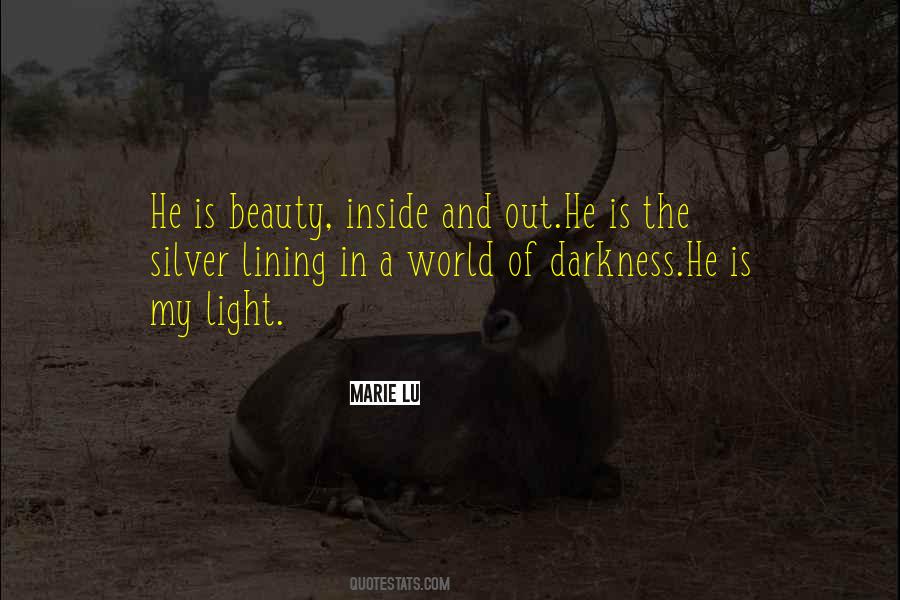 The Beauty Of Darkness Quotes #1830578