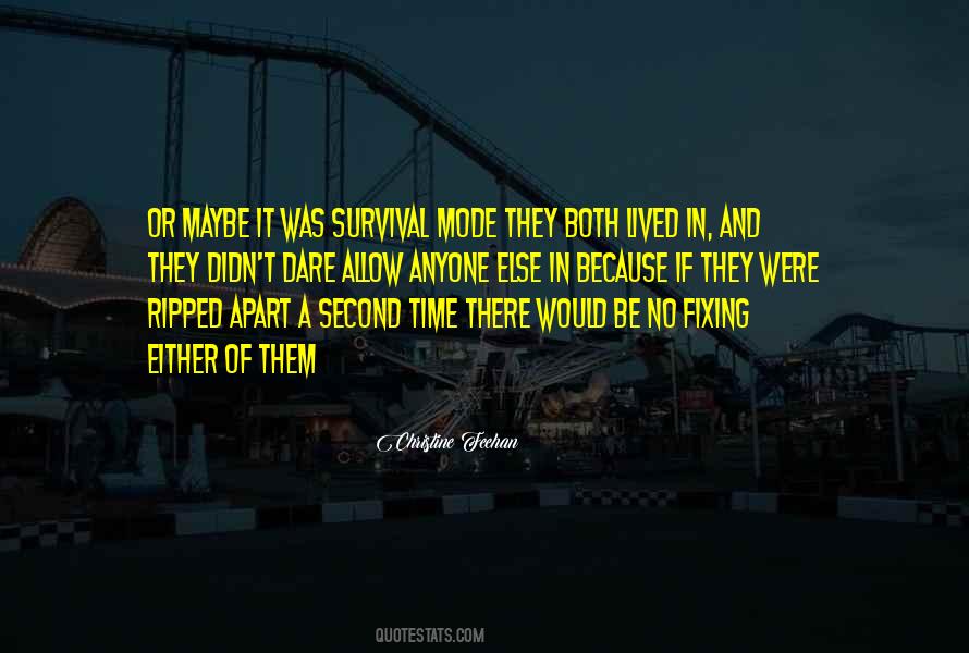 Sisters Of The Heart Quotes #513191