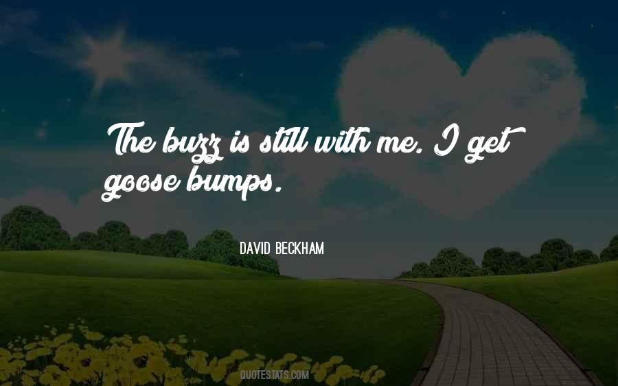 Bumps N Quotes #200648