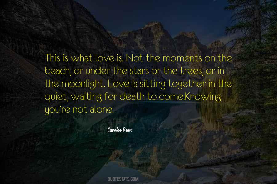 Under The Moonlight Quotes #302652