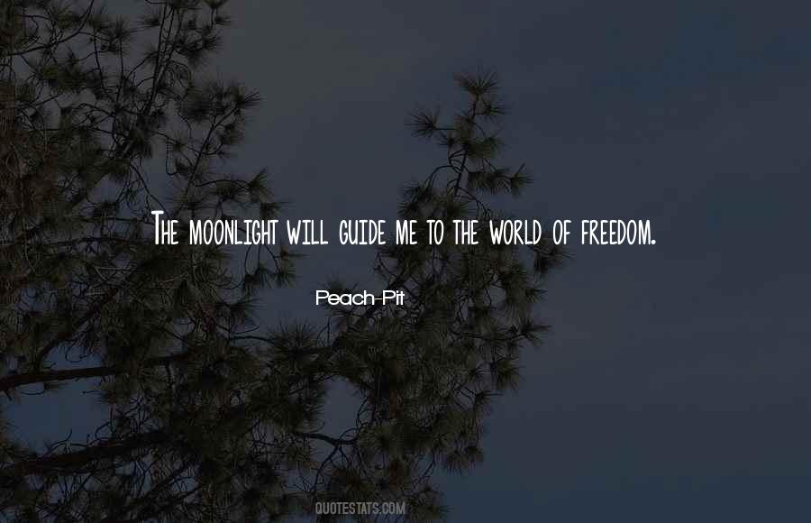 Under The Moonlight Quotes #49007