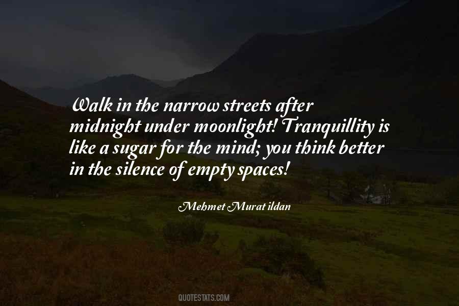 Under The Moonlight Quotes #752323