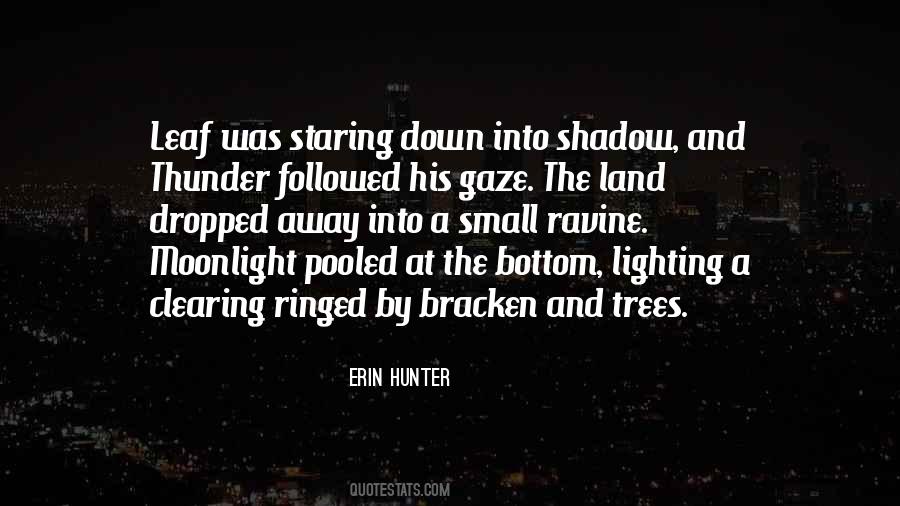 Under The Moonlight Quotes #7707