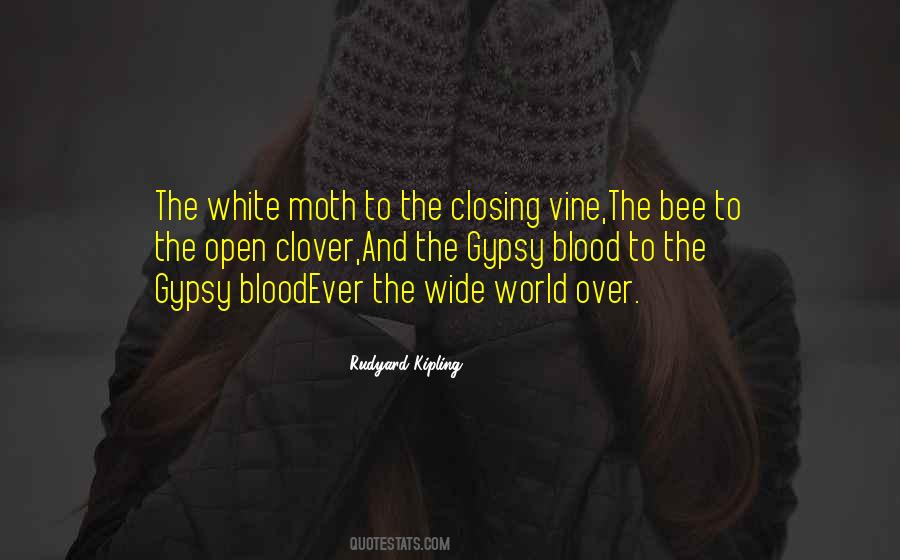 The Moth Quotes #1069094