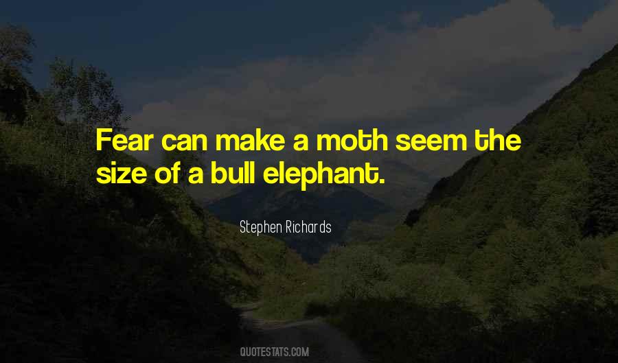 The Moth Quotes #743758