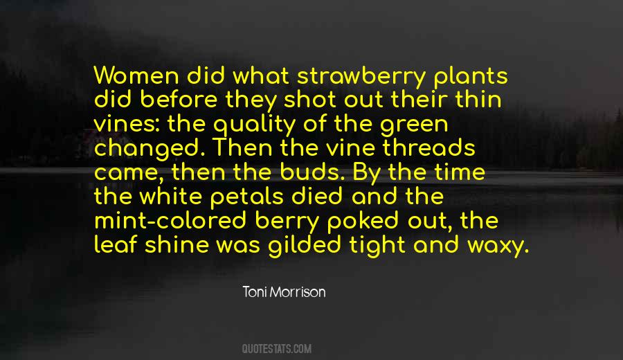 Died And Came Quotes #1785787