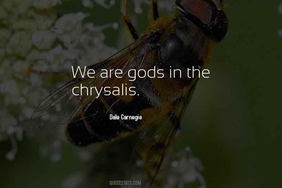 We Are Gods Quotes #827435
