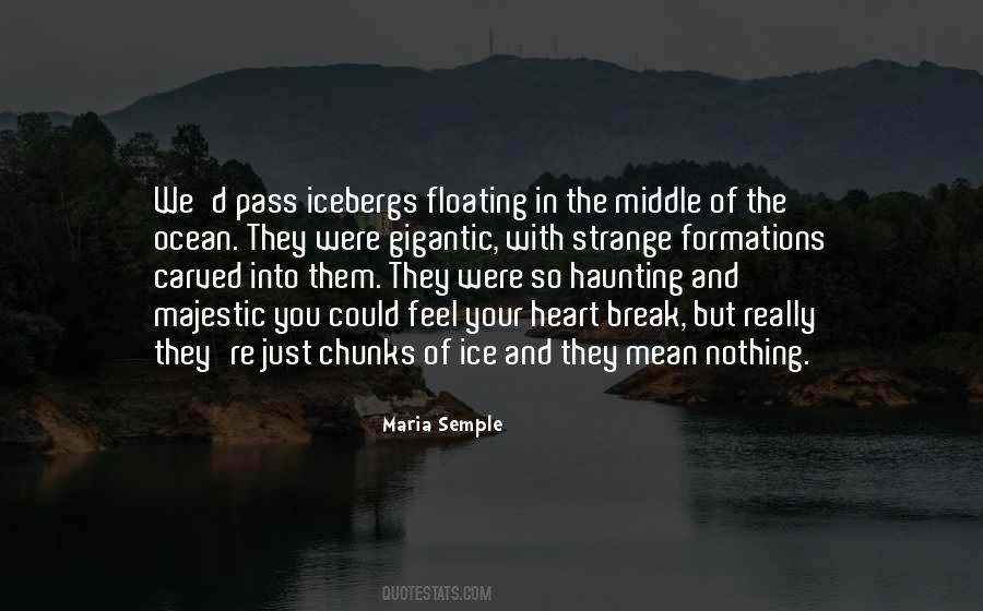 Heart Of Ice Quotes #442011