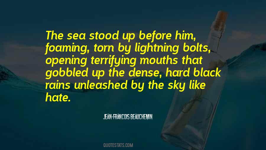 Storm And The Thunderstorms Quotes #24172