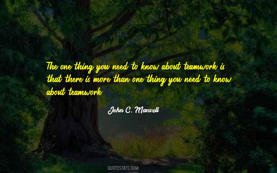 Quotes About The Teamwork #324412