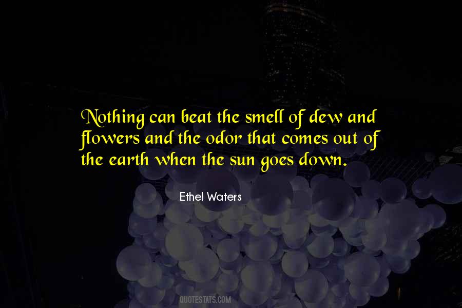 Beat The Sun Quotes #709757