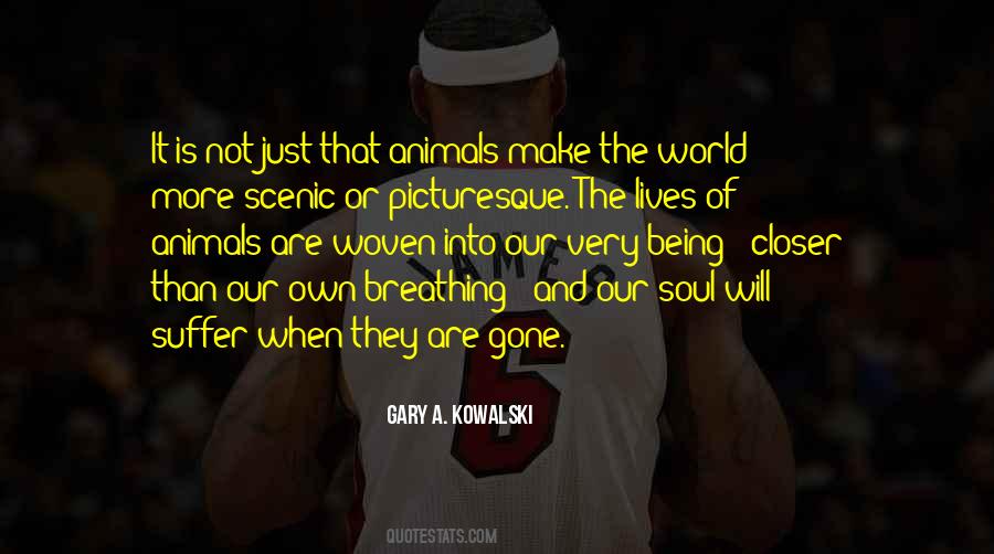 Best Picturesque Quotes #350810