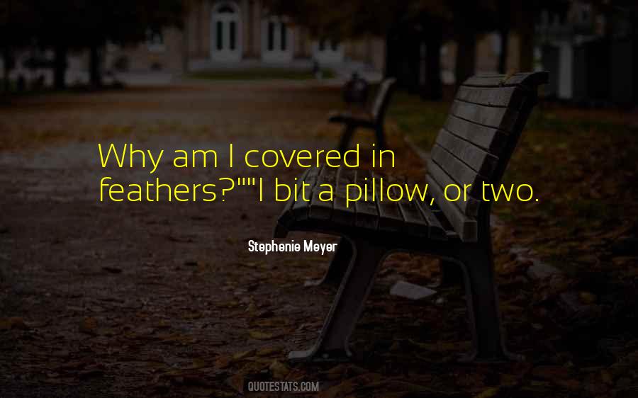 Best Pillow Quotes #18642