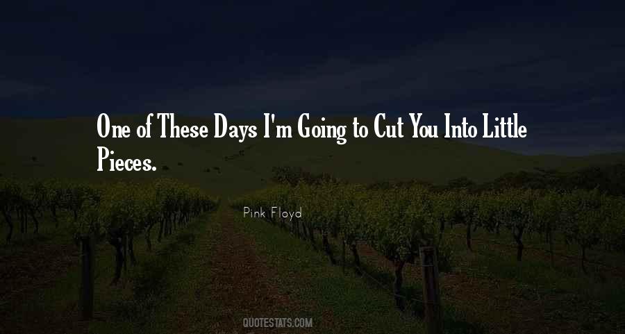 Best Pink Floyd Quotes #421849