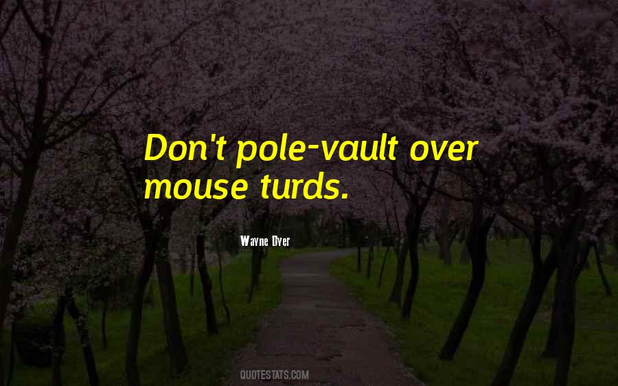 Best Pole Vault Quotes #889575