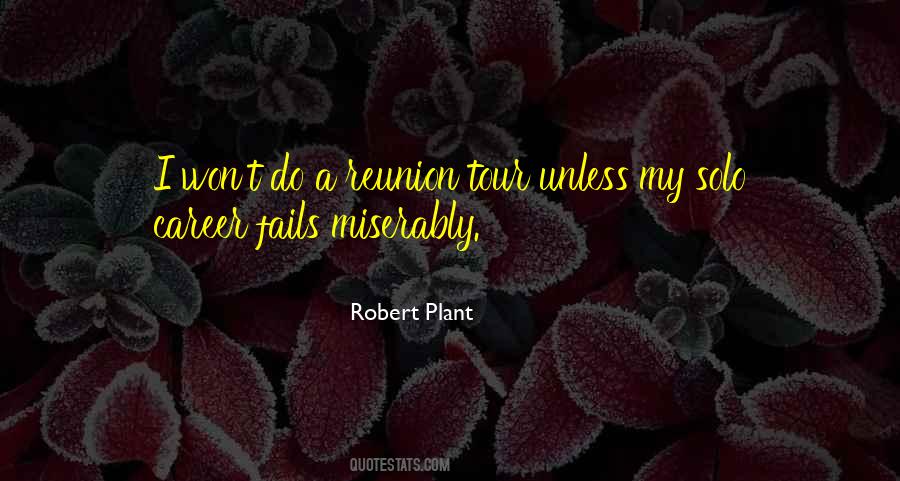 Solo Careers Quotes #1628512