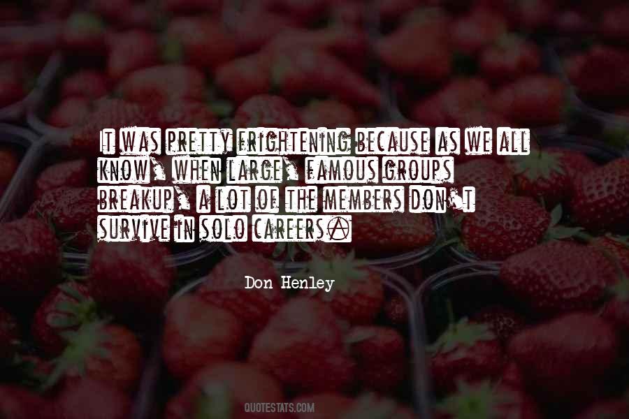 Solo Careers Quotes #65749