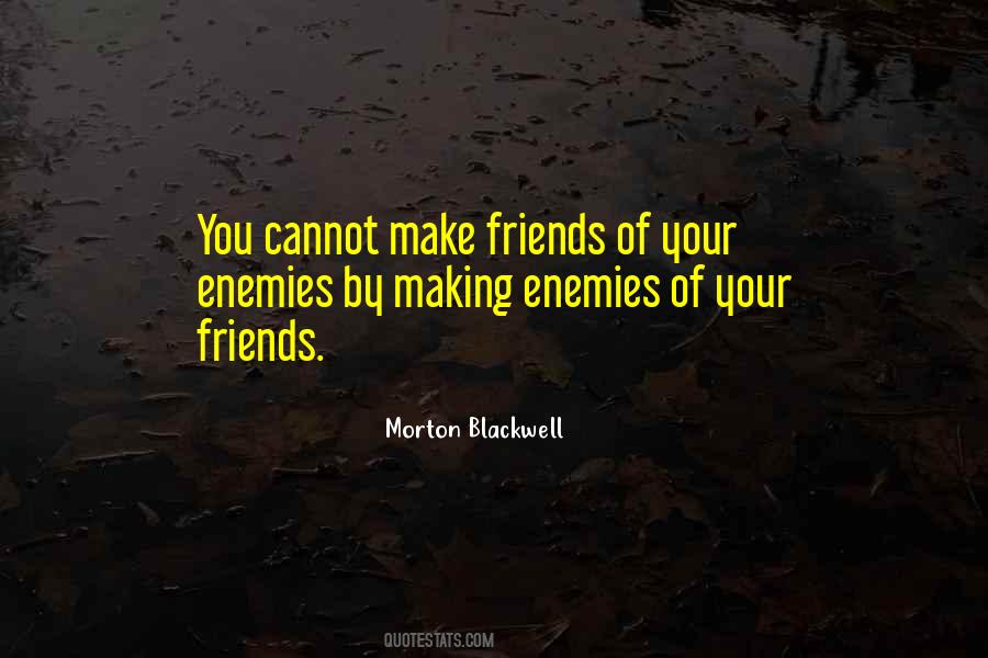 Quotes About Making Enemies #1436688