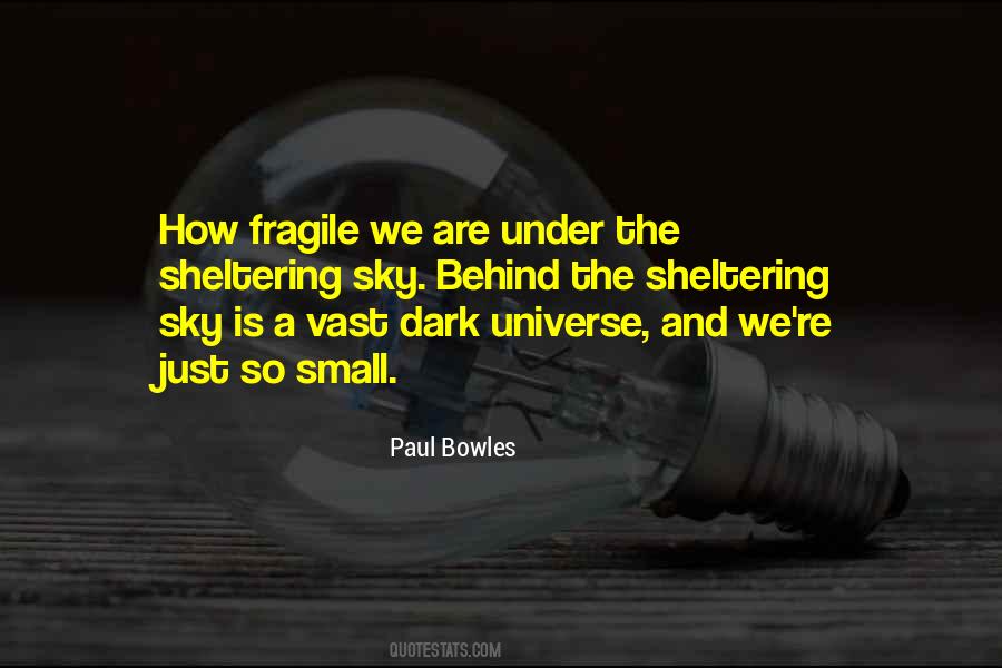 Vast Universe Quotes #1051801