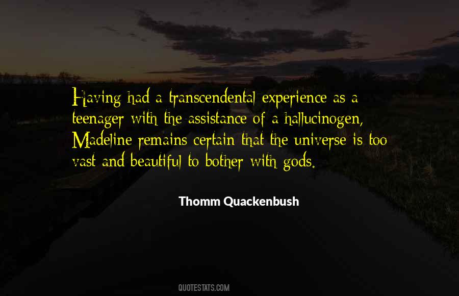 Vast Universe Quotes #1316119