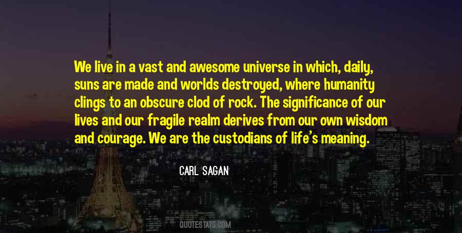 Vast Universe Quotes #1402771