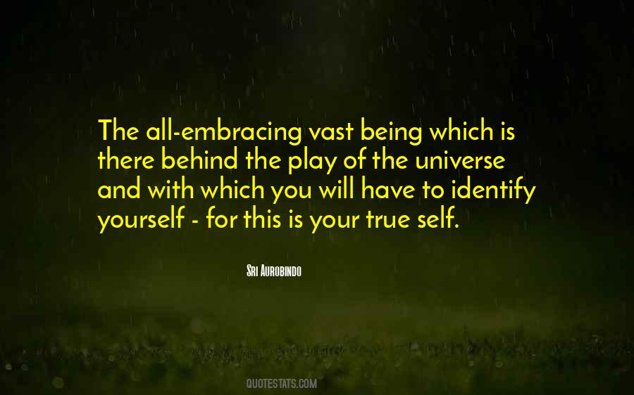Vast Universe Quotes #376721