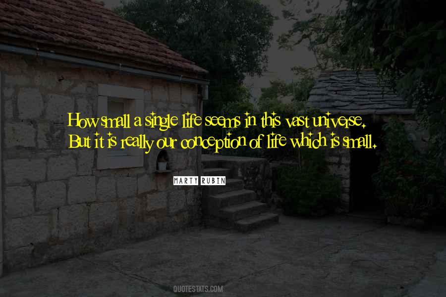 Vast Universe Quotes #541477