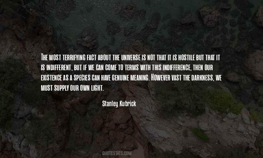 Vast Universe Quotes #954626