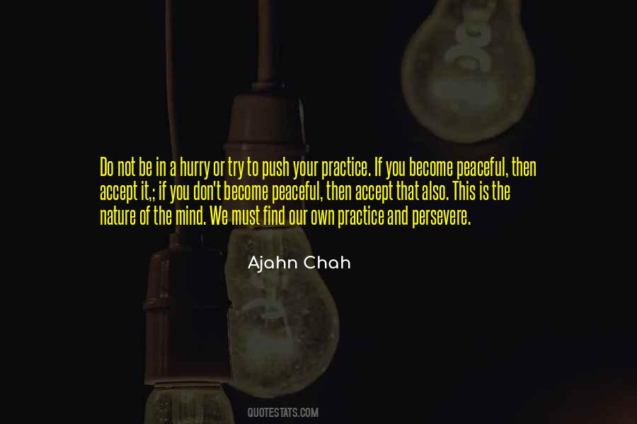 A Peaceful Mind Quotes #1173752