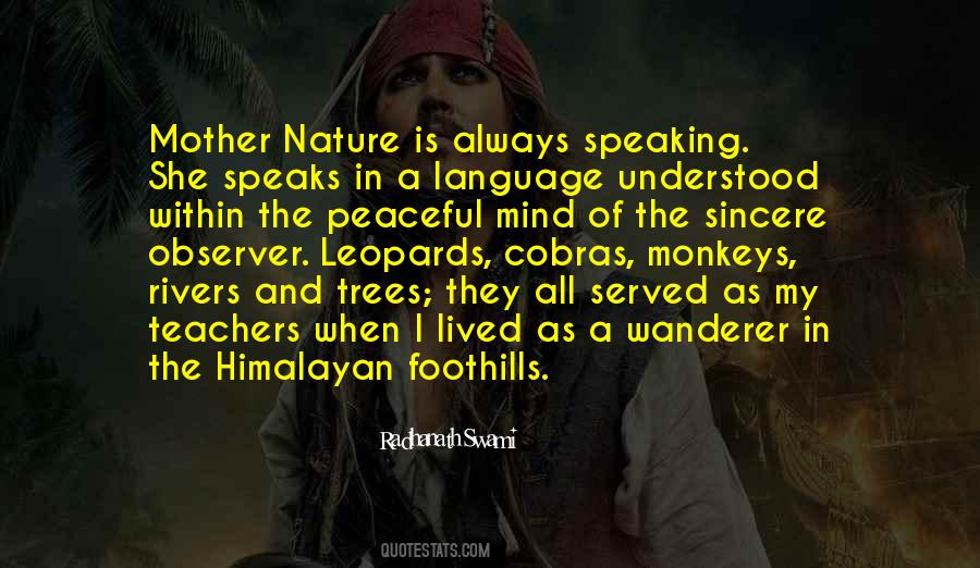 A Peaceful Mind Quotes #269082