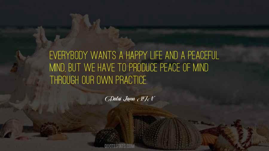 A Peaceful Mind Quotes #649710