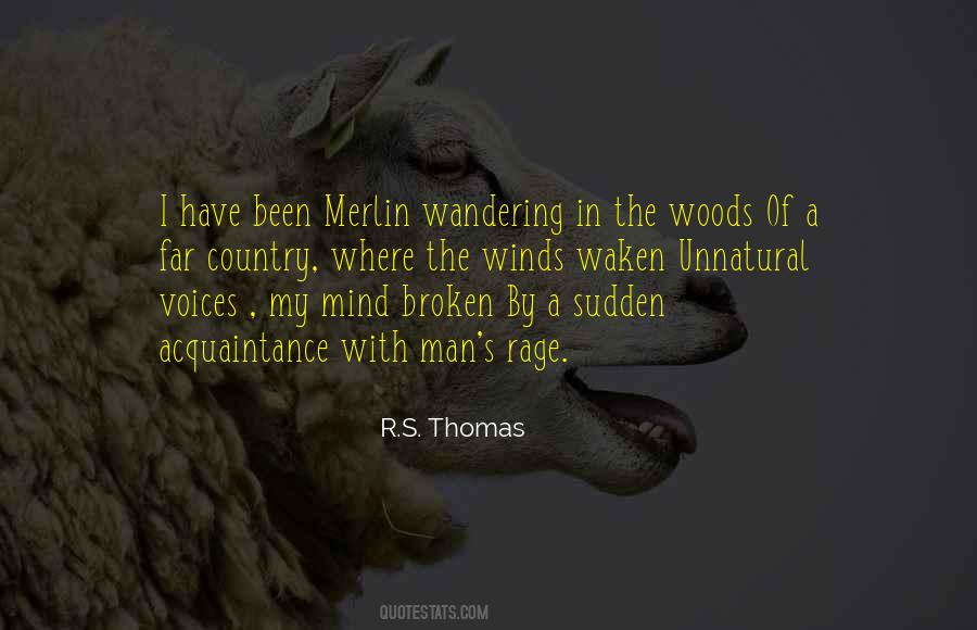 Man Without A Country Quotes #65654