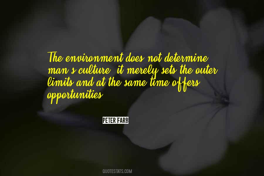 Bicha Solitaria Quotes #1878415