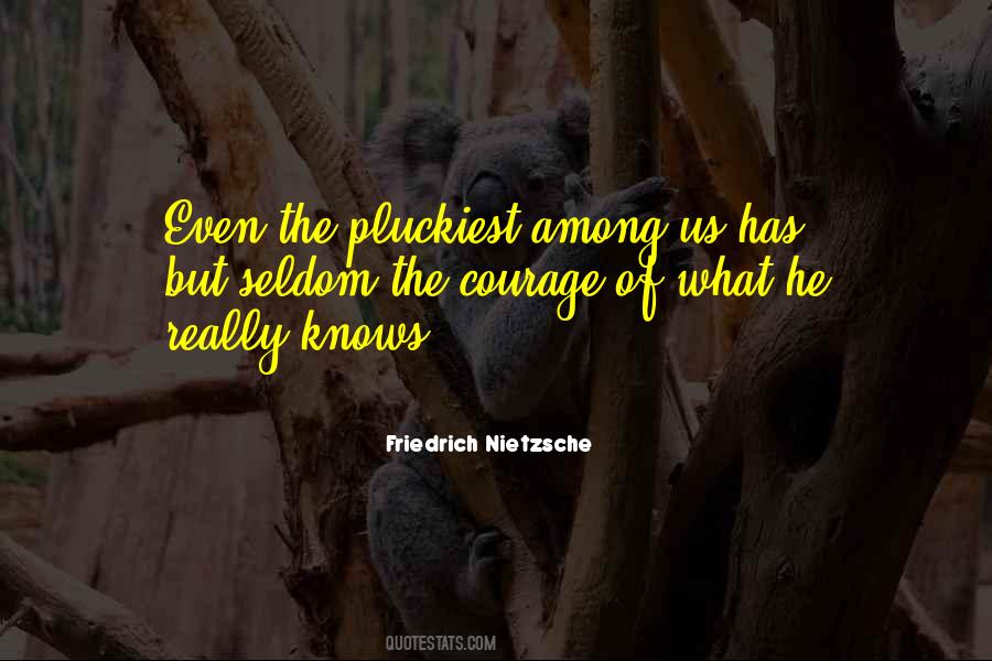 Cinderheart Identity Quotes #425417