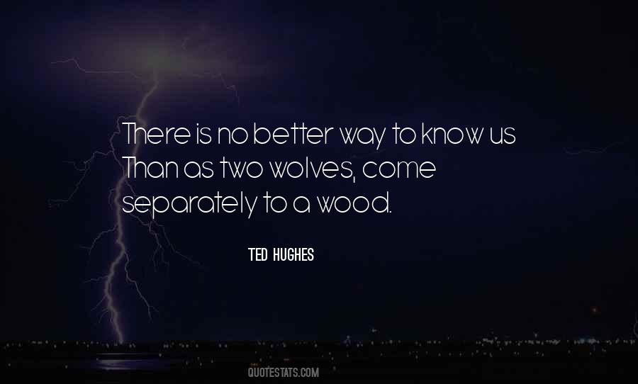 There Is No Us Quotes #127747