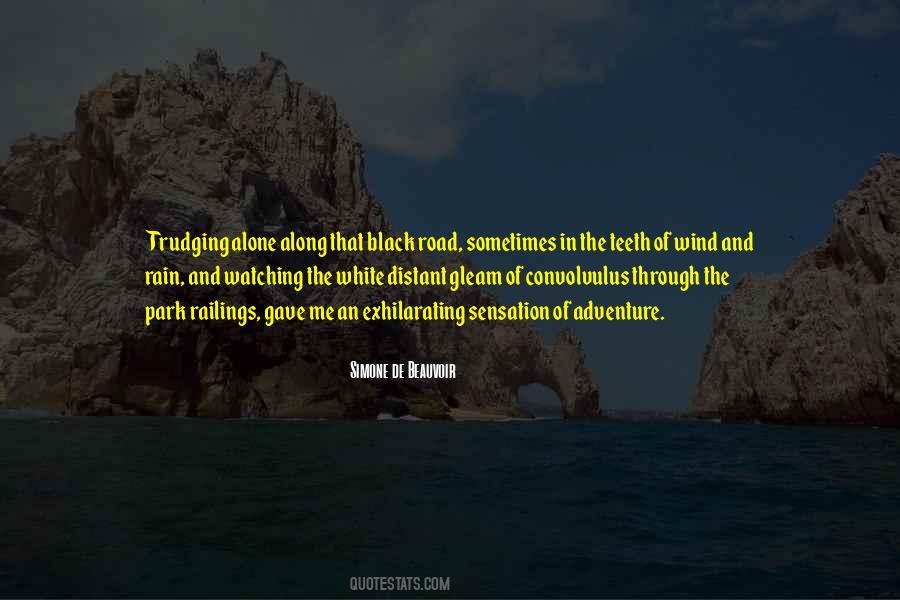 Damen Silos Quotes #576627
