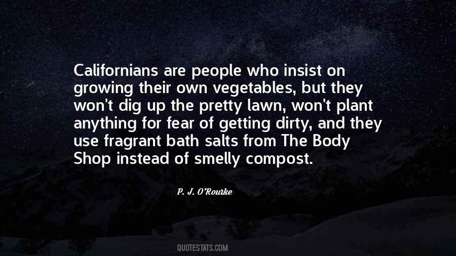Picache Building Quotes #1139264