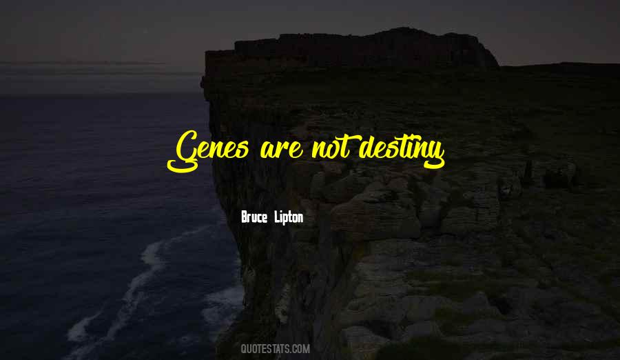 Prioritising Life Quotes #269101