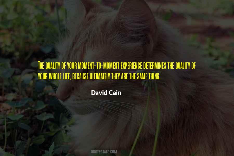 Kalloren Quotes #83182
