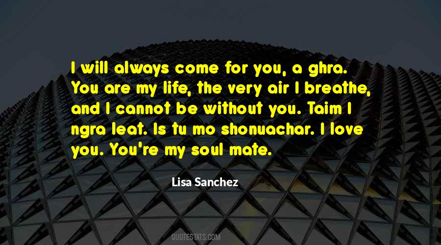 My Soul Mate Quotes #467111