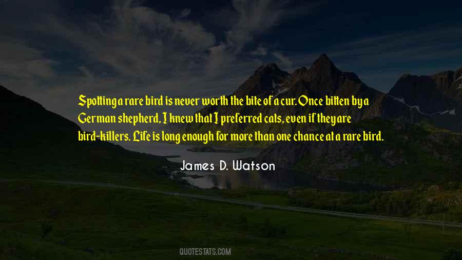 Rogawski Jon Quotes #1187128