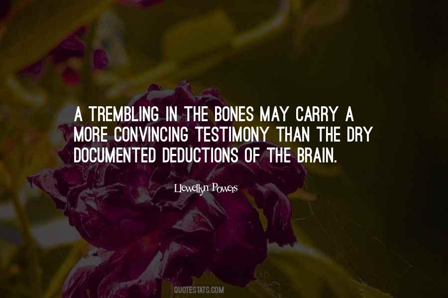 Thanh Thuy Dien Quotes #50608
