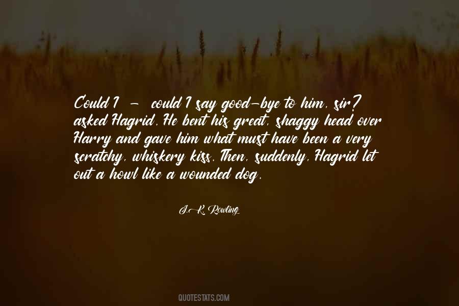 Barjaktarevic Songs Quotes #281660