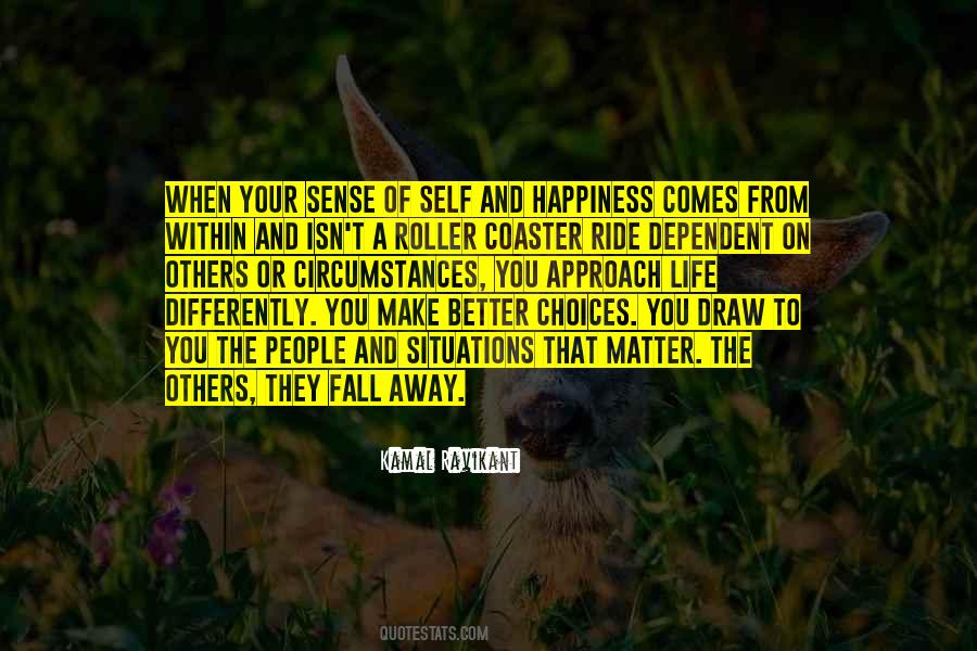 N Ravikant Quotes #476381